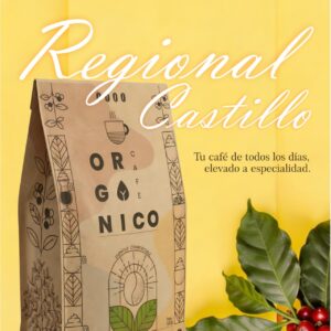 Castillo Regional